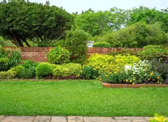 landscaping services Hopkins